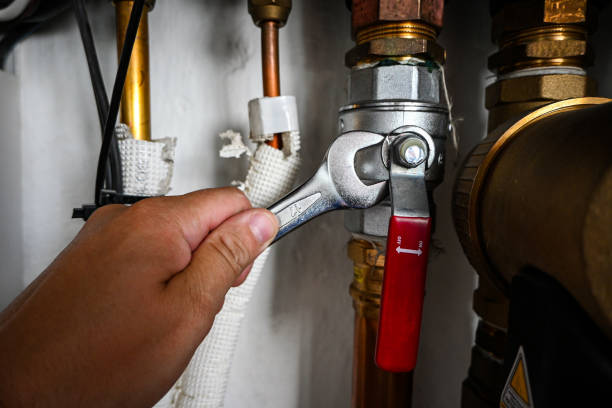 Best Clogged Drain Plumber  in Seabrook, TX
